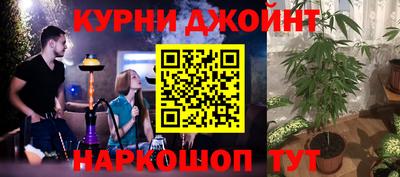 тгк Новозыбков