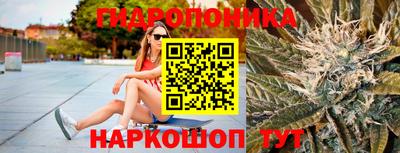 тгк Новозыбков