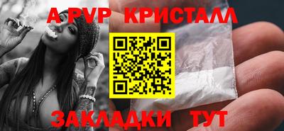 тгк Новозыбков