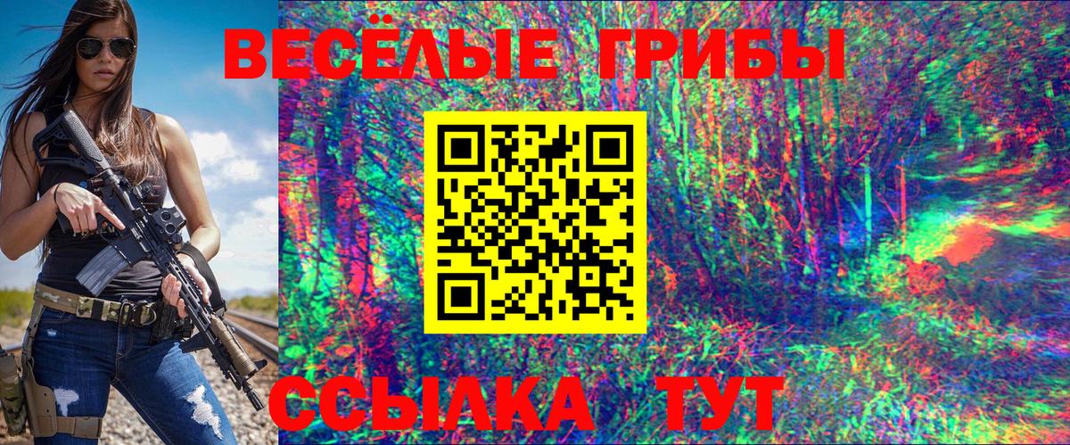 Псилоцибиновые грибы Psilocybe  Галлюциногенные грибы MAGIC MUSHROOMS  Шумерля  Вход с VPN 